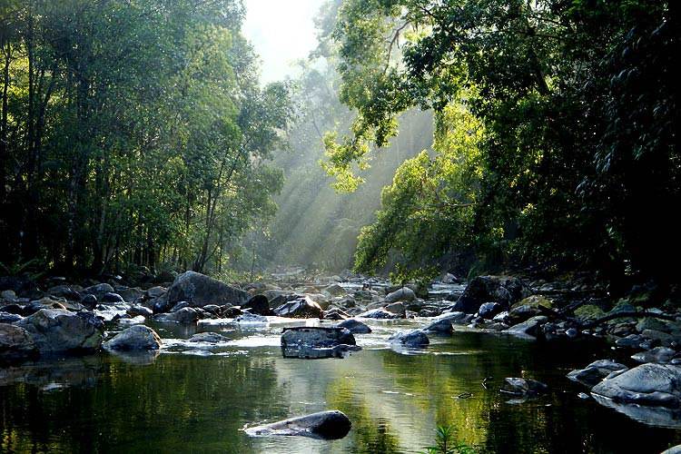 EdisiViral : Stress Cuti Panjang Dah Habis? Tenangkan Diri Di Taman